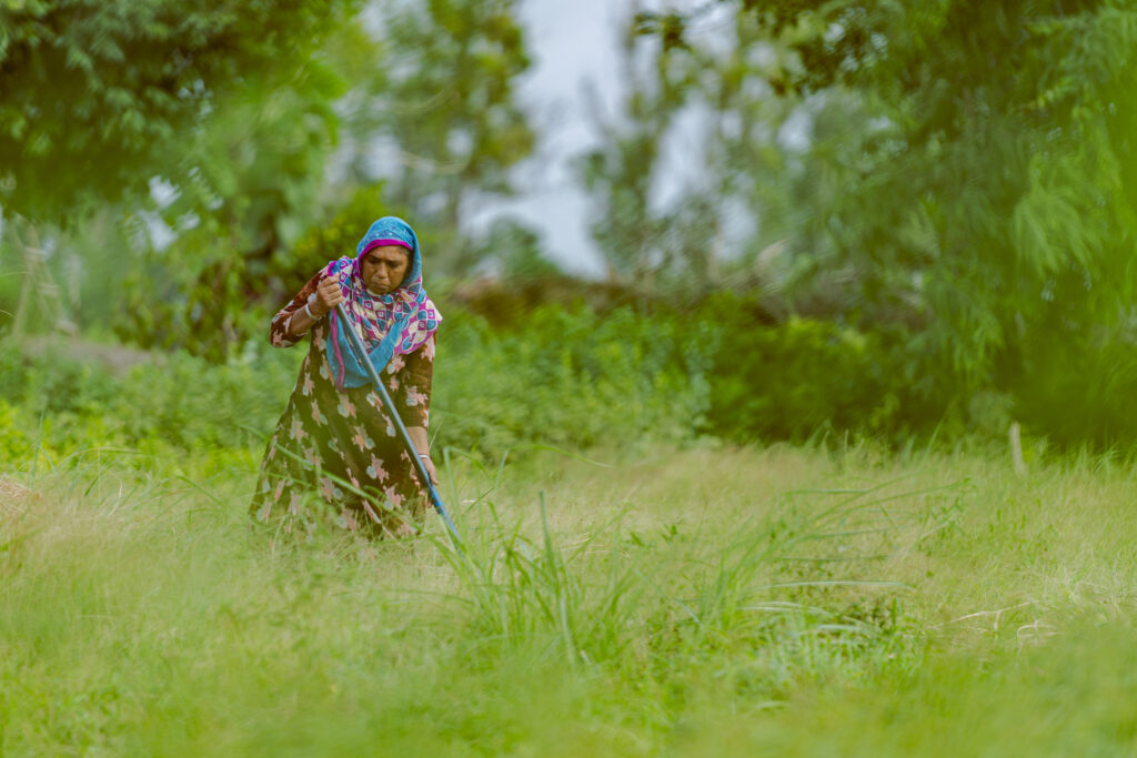 A woman works her own field.