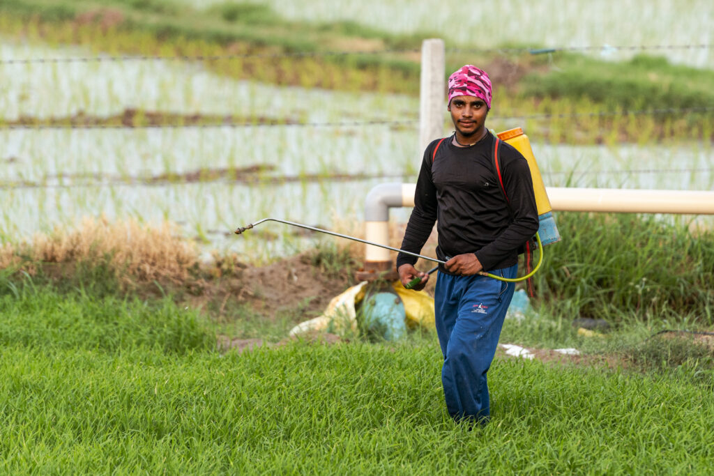 Un ragazzo che lavora in un campo spruzza pesticidi.